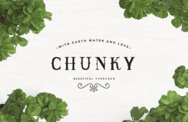 Chunky Typeface font