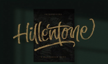 Hillentone - Brush Font