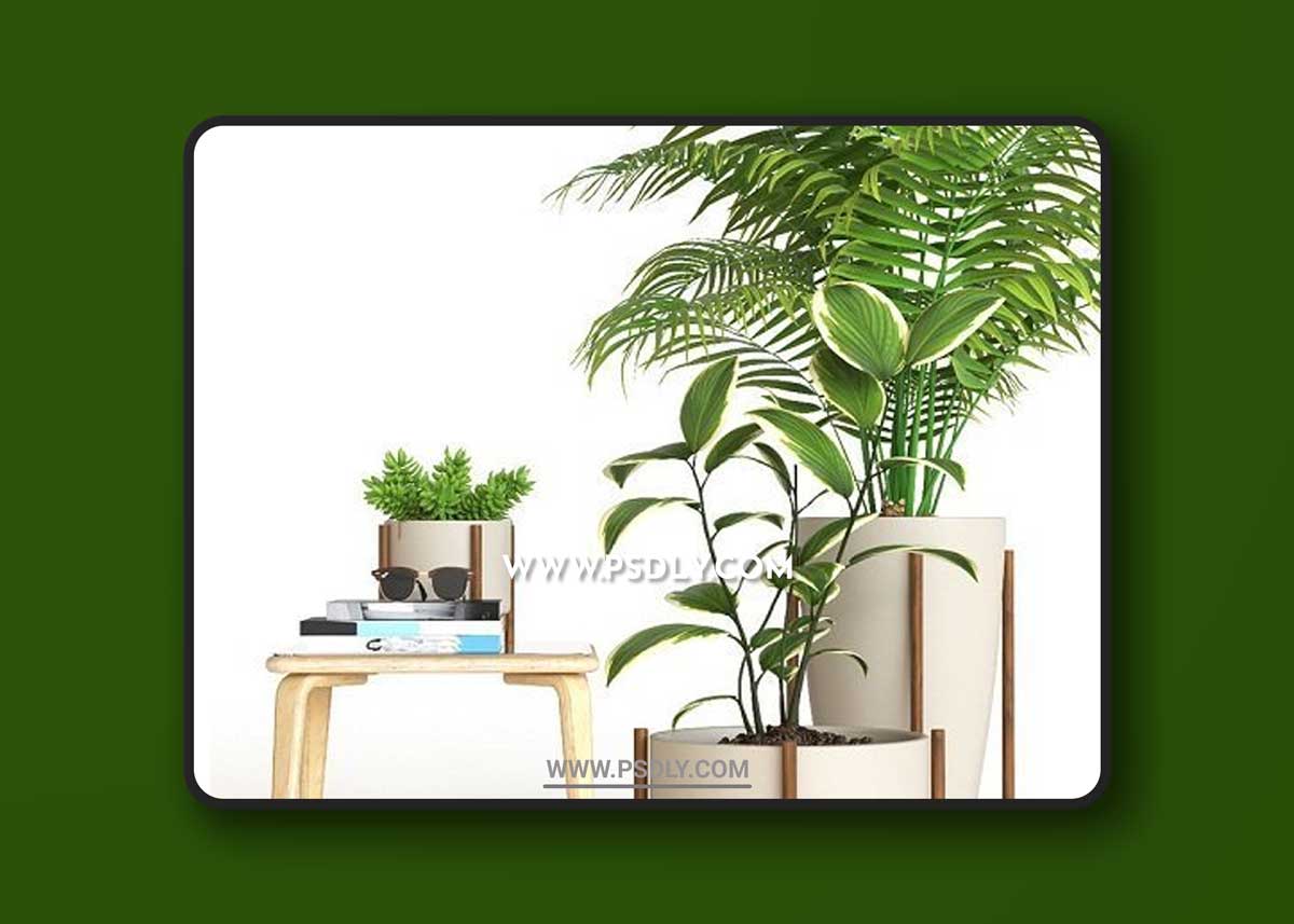 3D Plant Set 3D Models