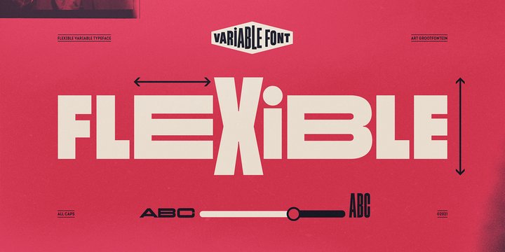 Flexible Font Family