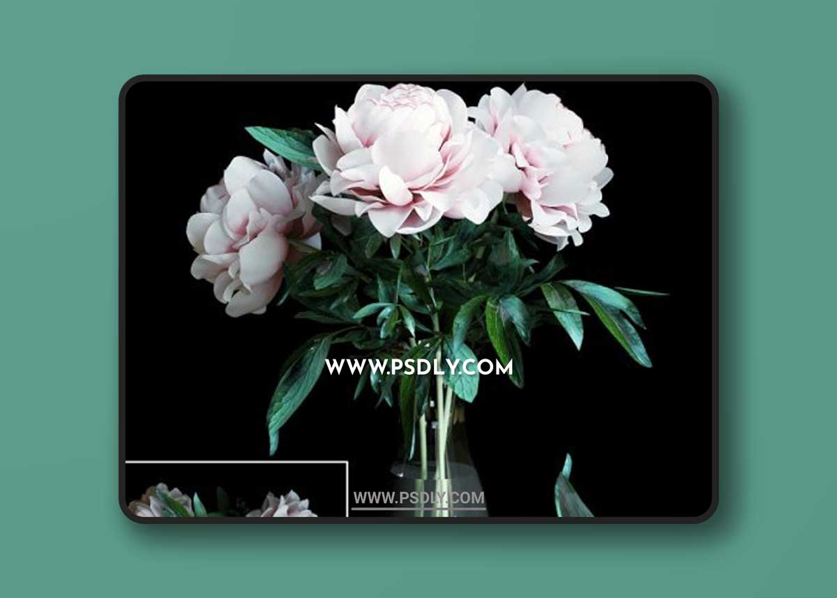 Bouquet Of Peonies 3D Models