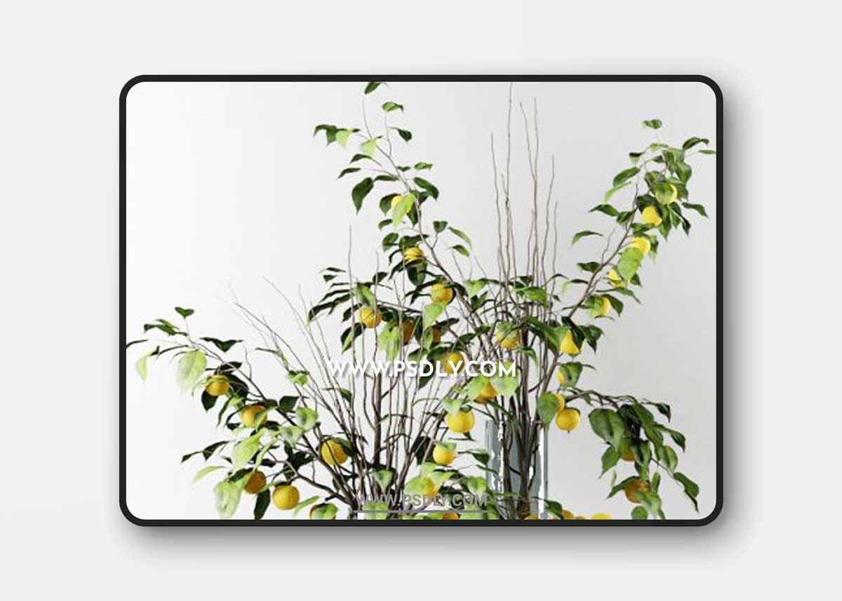 Bouquet of Chinese apple tree branches with yellow apples