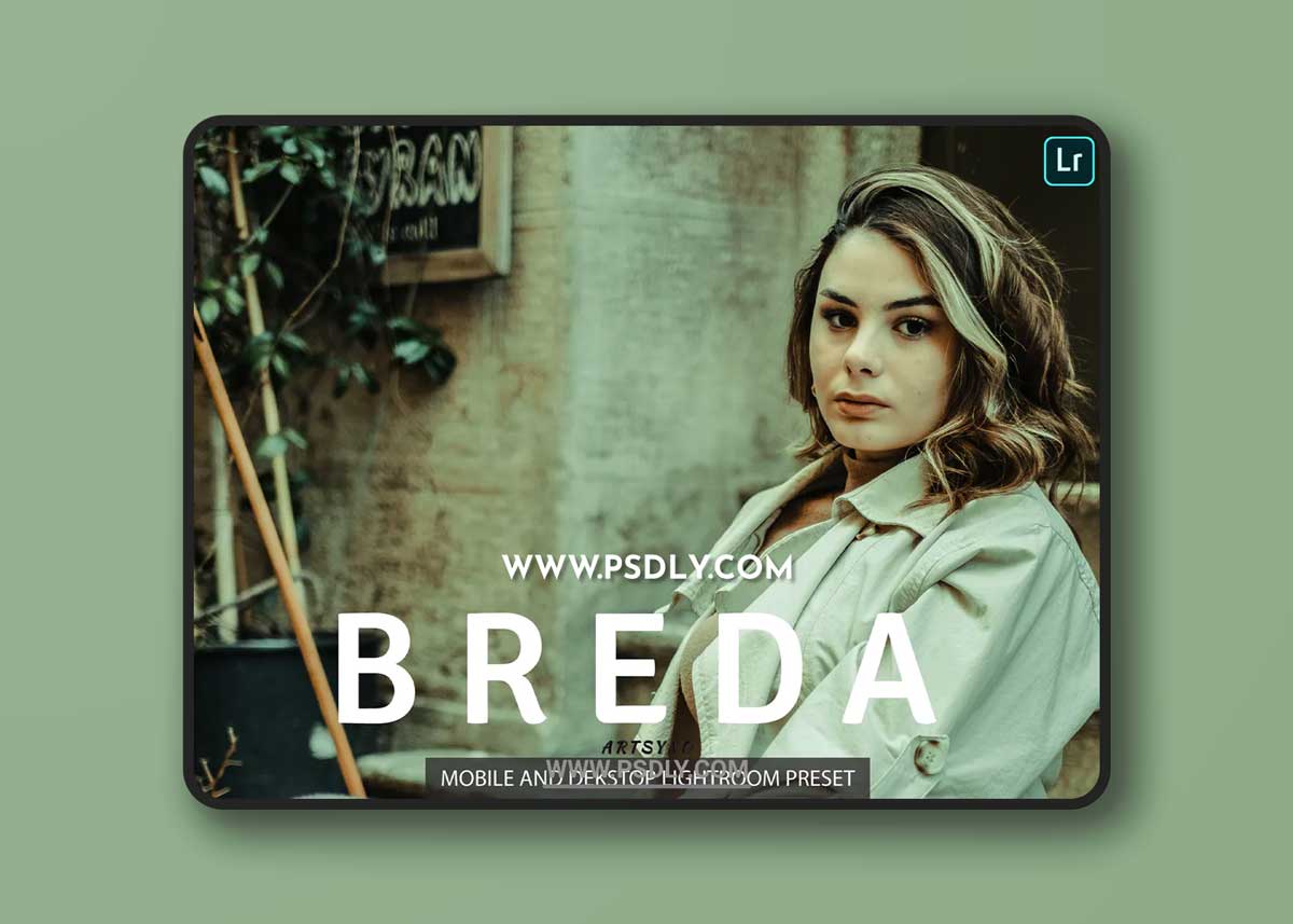 Breda Lightroom Presets Dekstop and Mobile