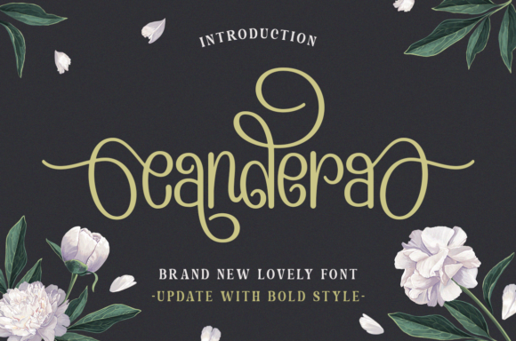 Candera Font
