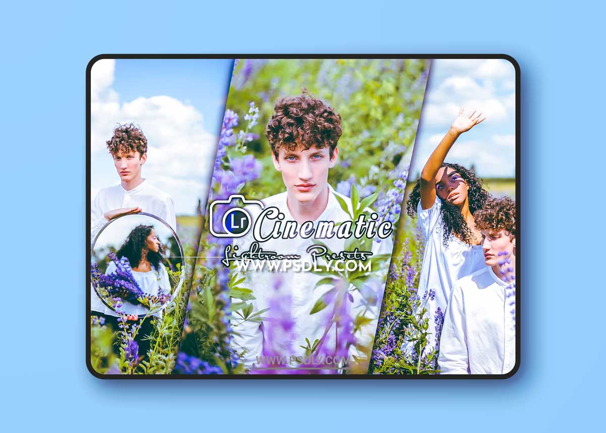 Cinematic Lightroom Presets Mobile and Desktop