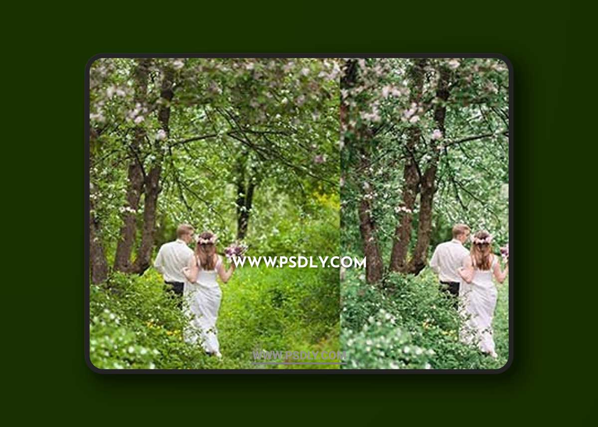 CreativeMarket - 10 Fuji Pro 400H Lightroom Presets 6487344