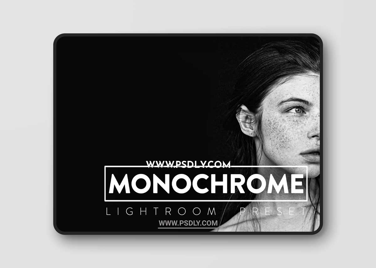 CreativeMarket - 10 Monochrome Lightroom Presets 6523025