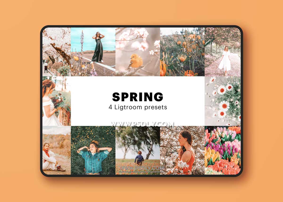 CreativeMarket - 4 Spring Lightroom Presets 5627531