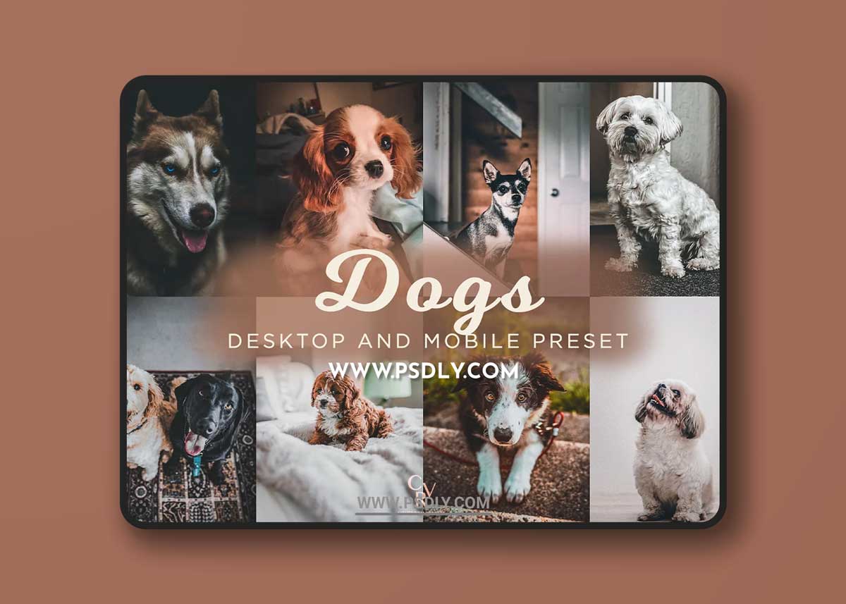 CreativeMarket - 8 Dogs Lightroom Presets 6278930