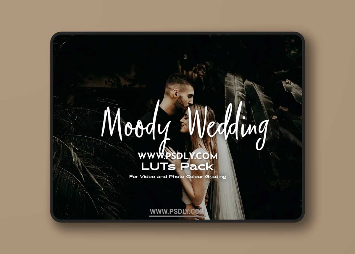 Creativemarket - Moody Wedding LUTs pack 6425901