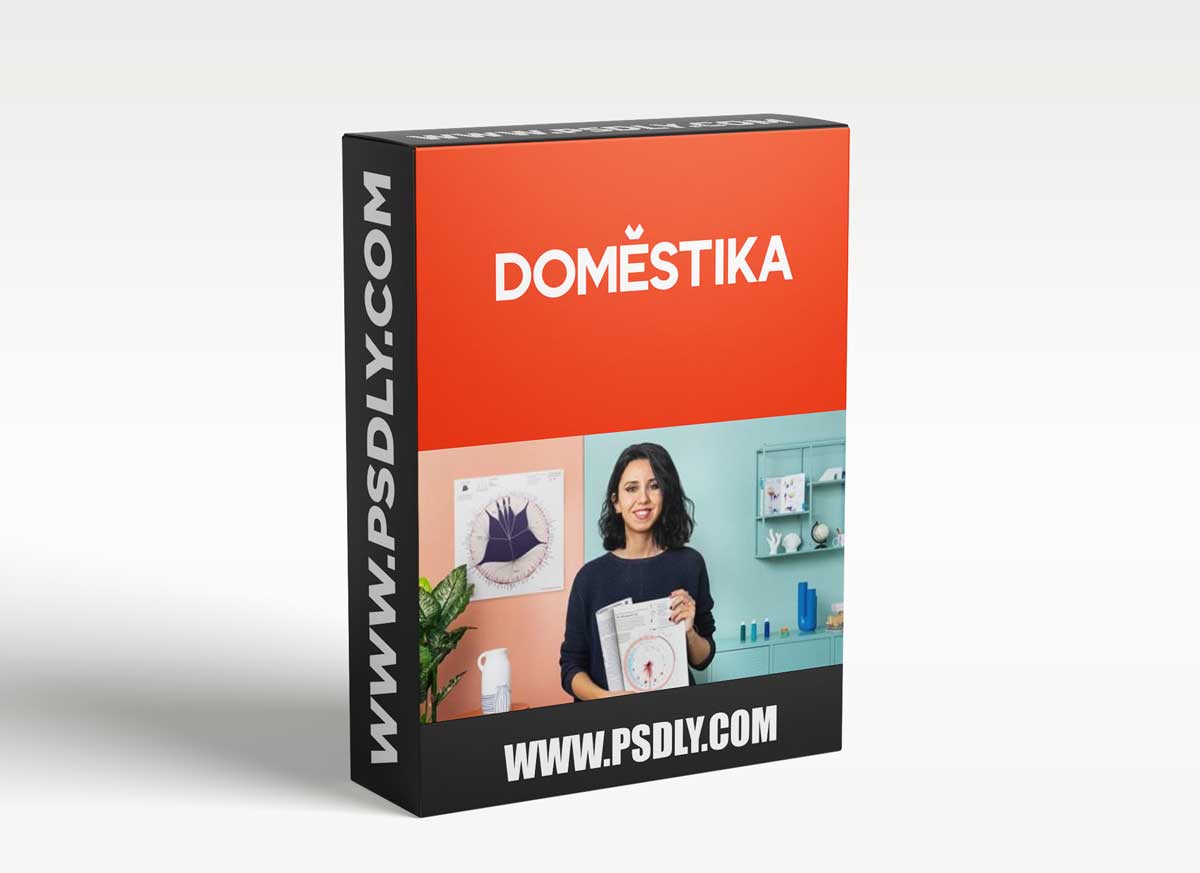 Domestika - Data Visualization and Information Design: Create a Visual Model