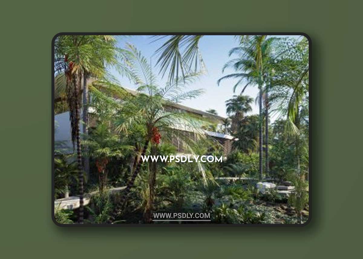 Globe Plants - Bundle 15 - Palm World