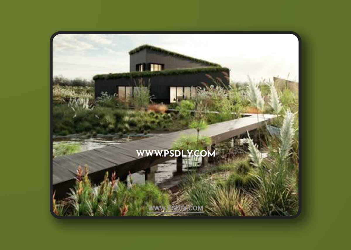 Globe Plants – Bundle 26 – Ornamental Grasses 02