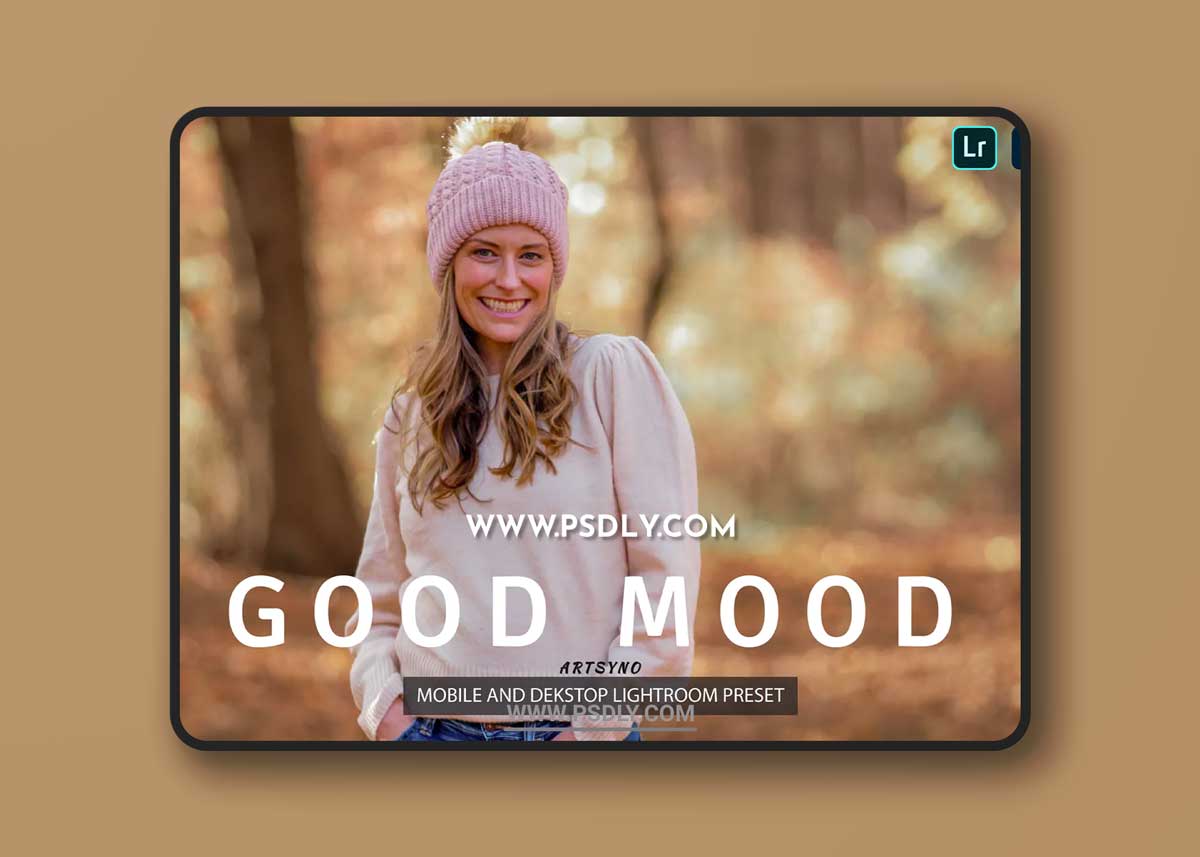 Good Mood Lightroom Presets Dekstop and Mobile