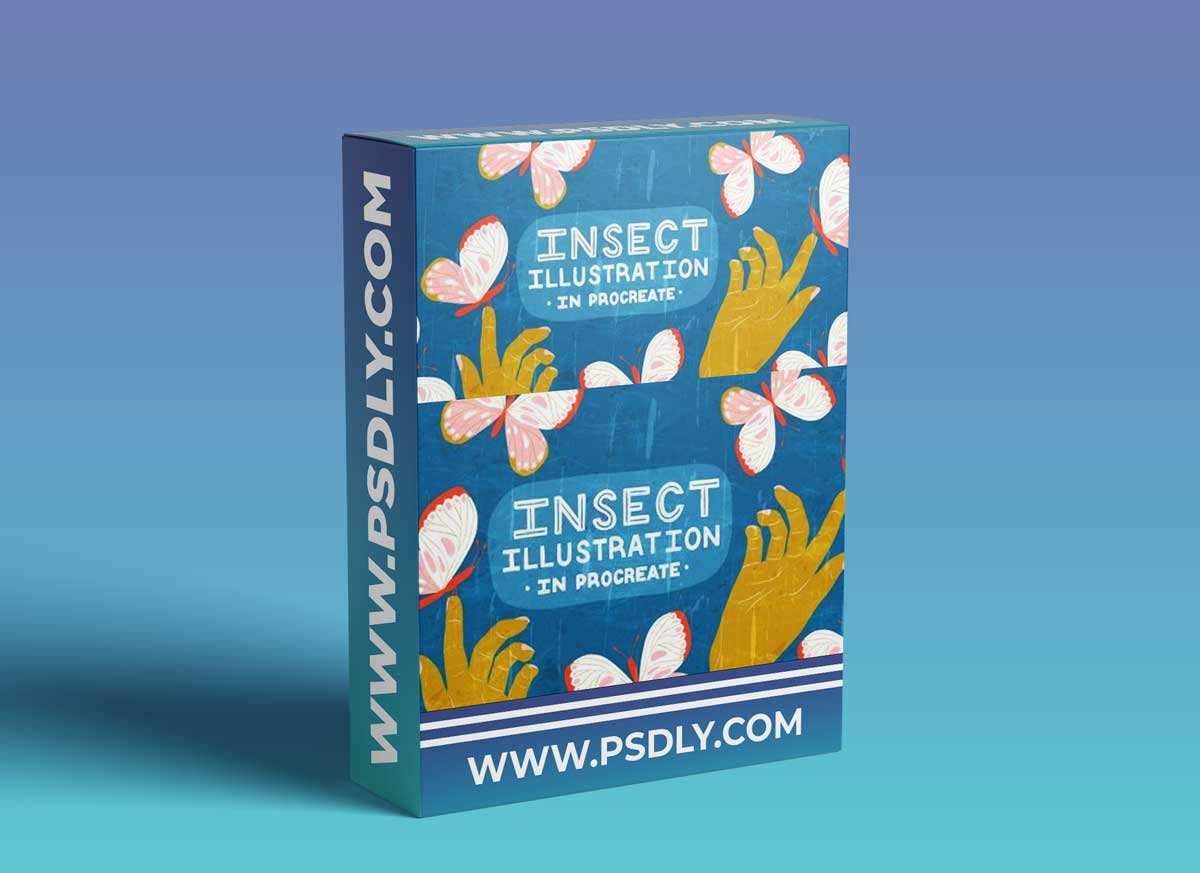 Insect Illustrations and Animations in Procreate