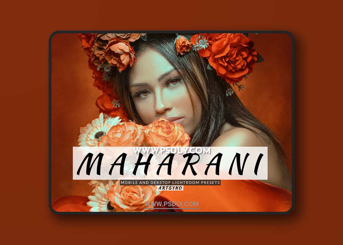 Maharani Lightroom Presets Dekstop and Mobile