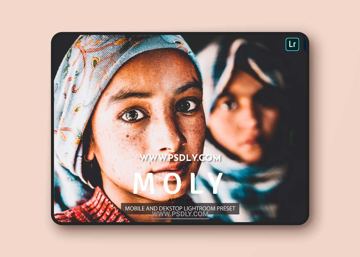 Moly Lightroom Presets Dekstop and Mobile