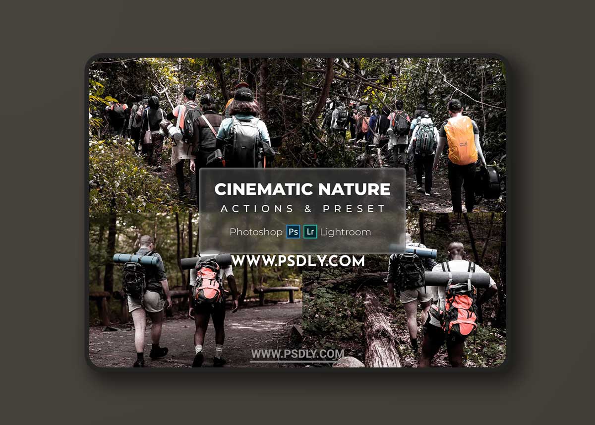 Natural Cinematic - (Presets & Actions)