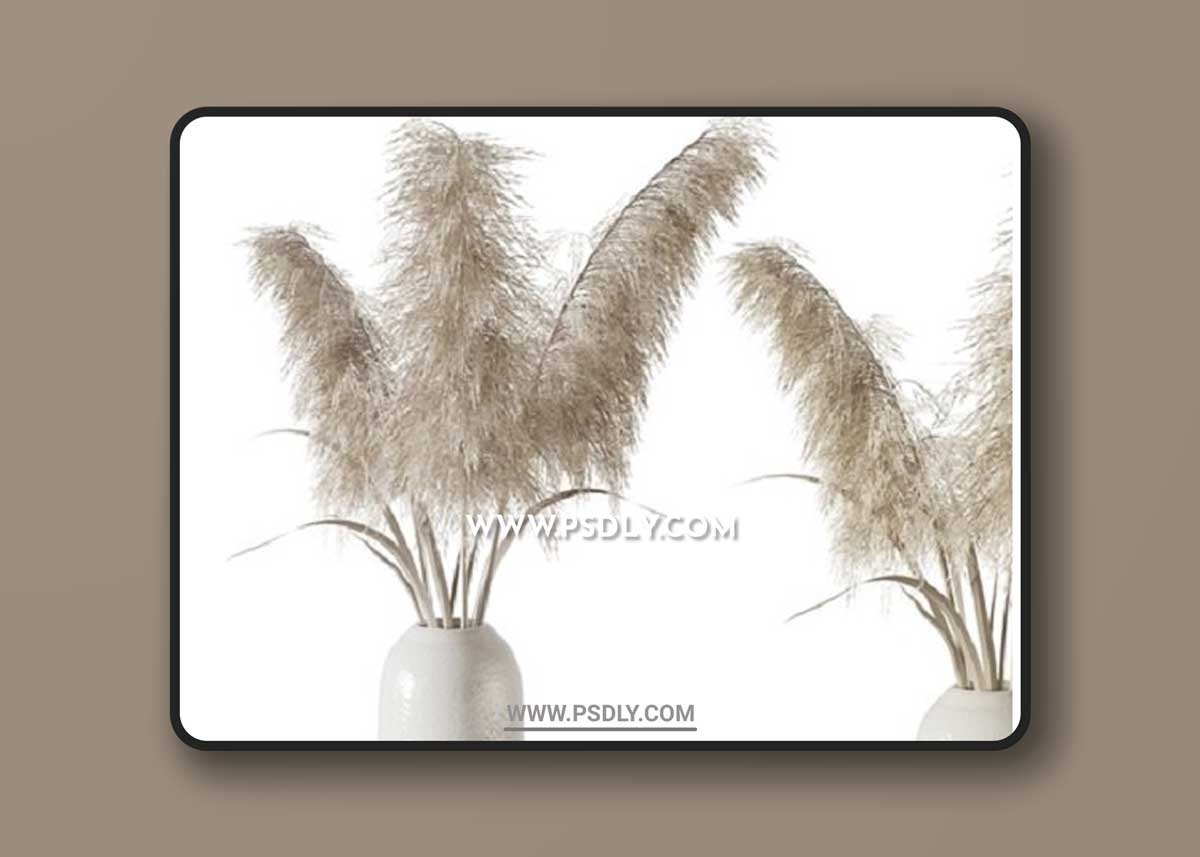 Pampas grass bouquet 3D Models