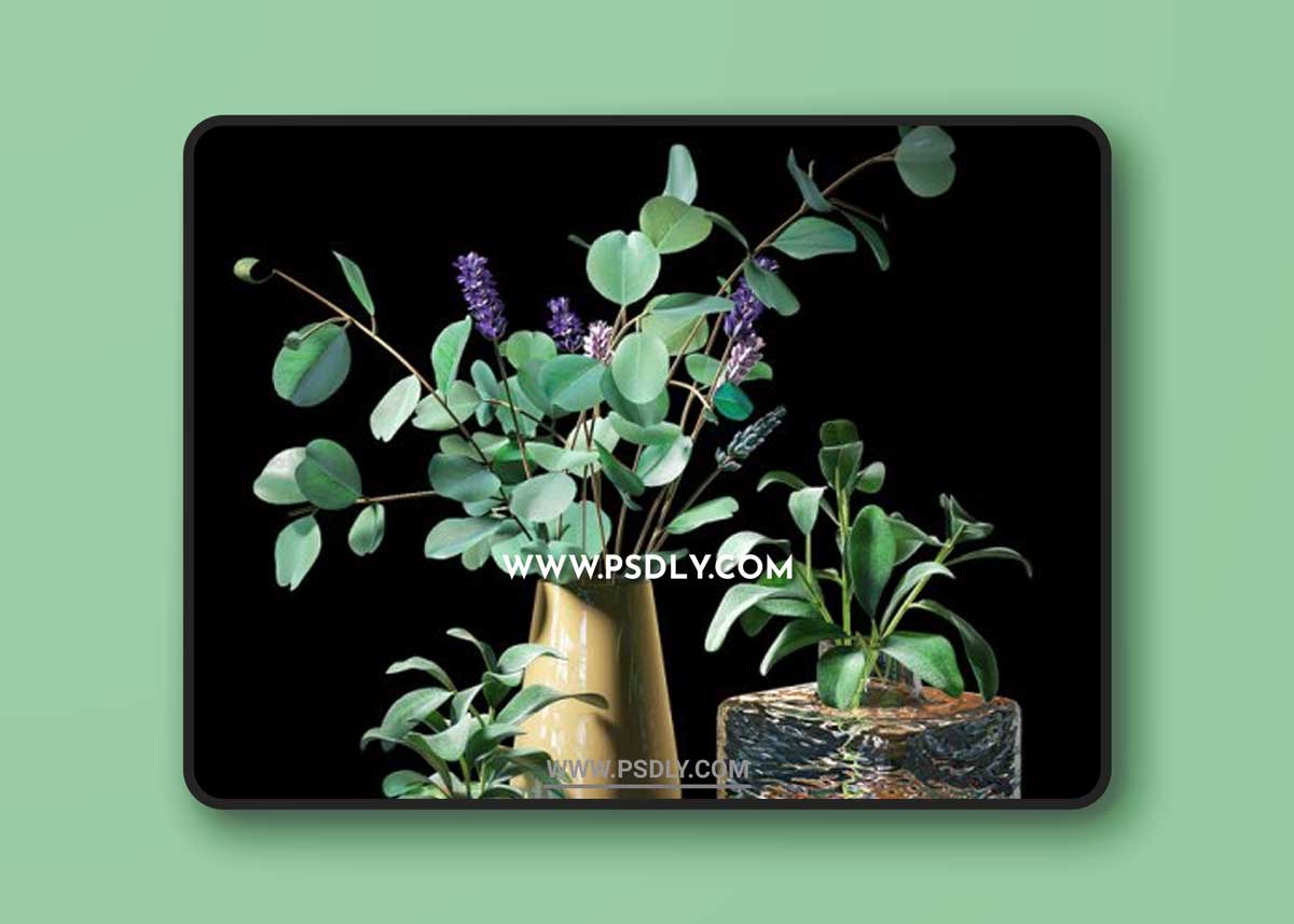 Plant set 05 3D Models