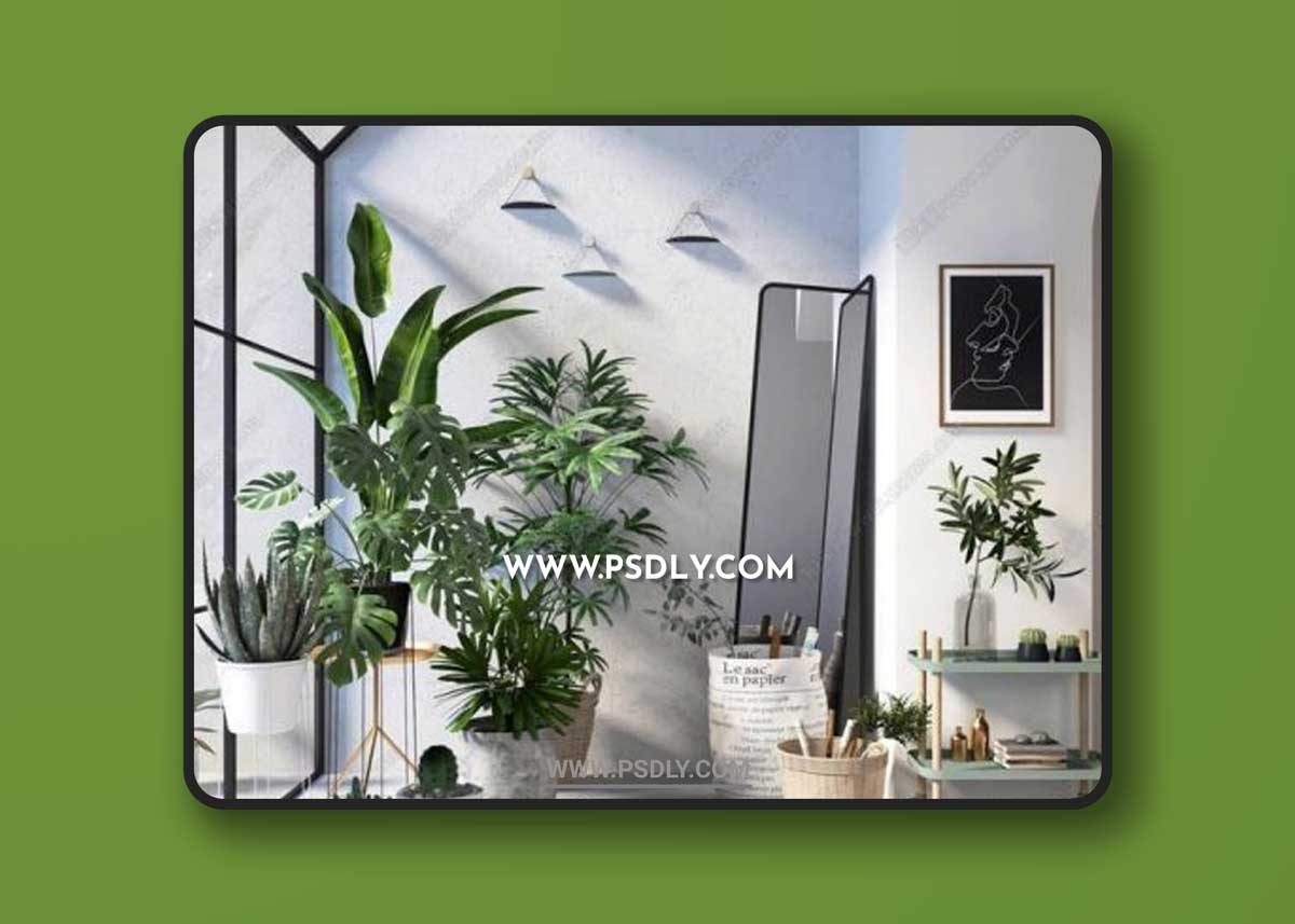 Plants collection 70 3D Models