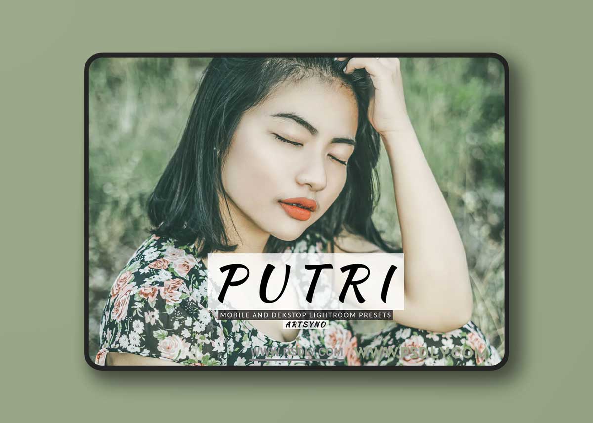 Putri Lightroom Presets Dekstop and Mobile