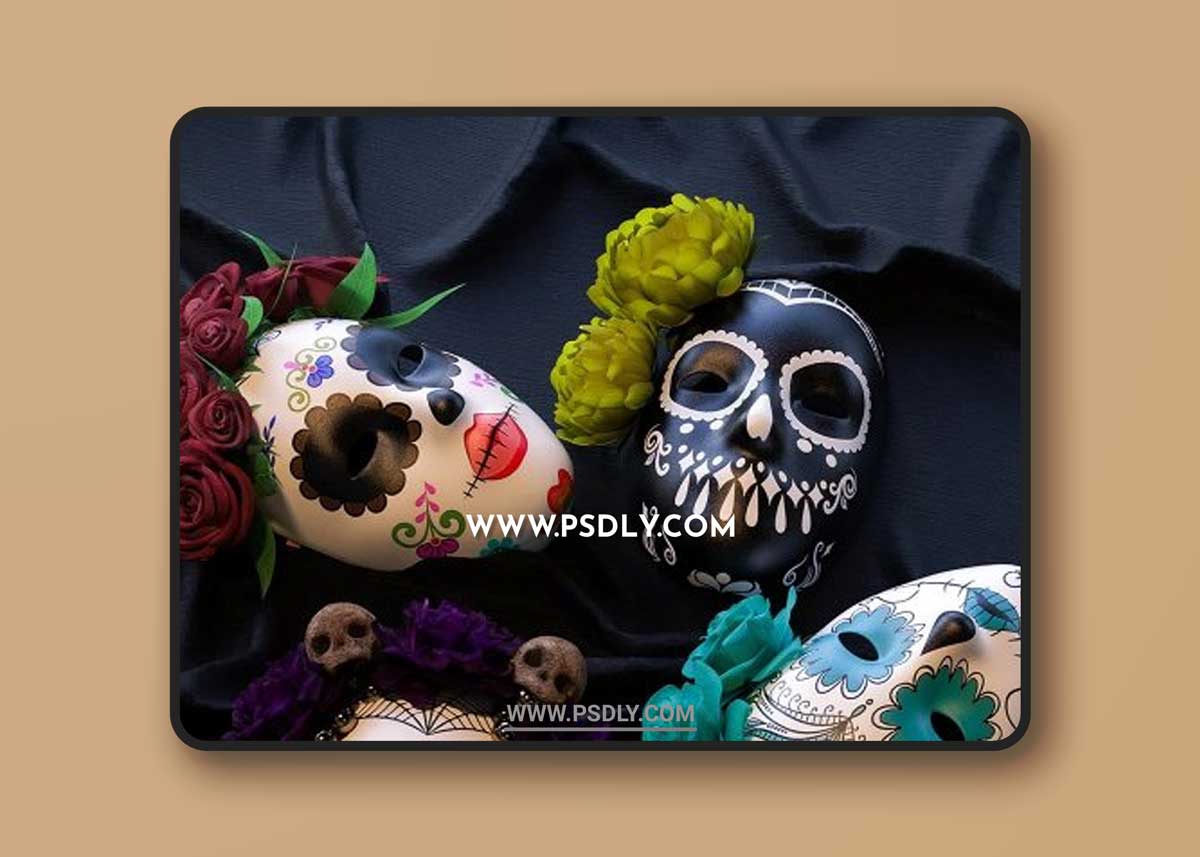 Rosa Maria 8.1 Mega Bundle