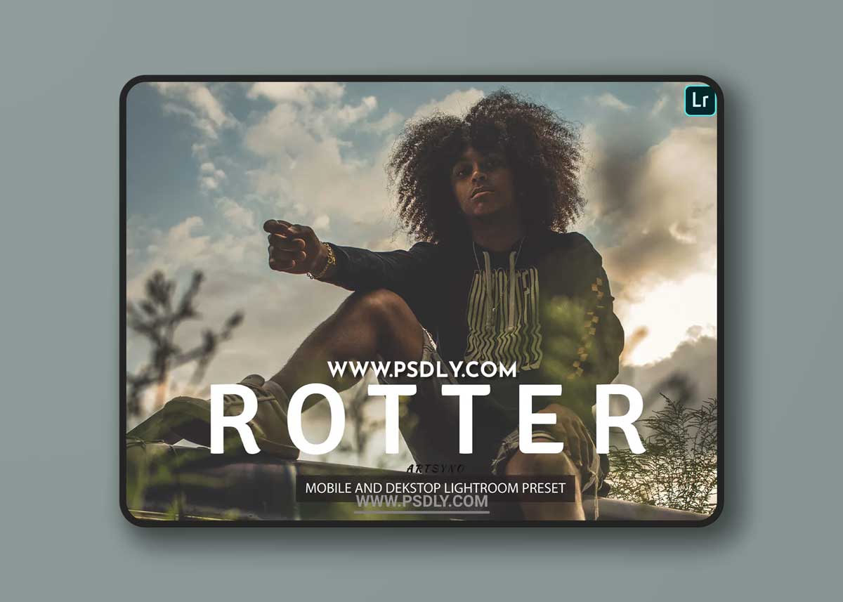Rotter Lightroom Presets Dekstop and Mobile