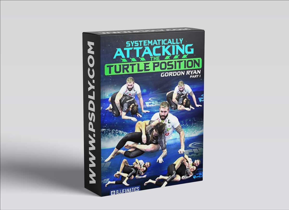Systematically Attacking the Turtle Position