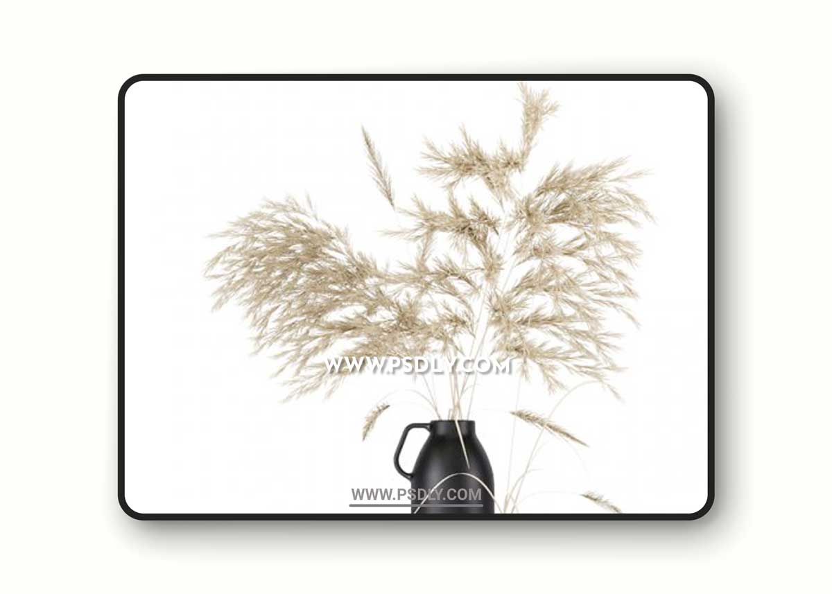 Vases set by H & M with pampas grass