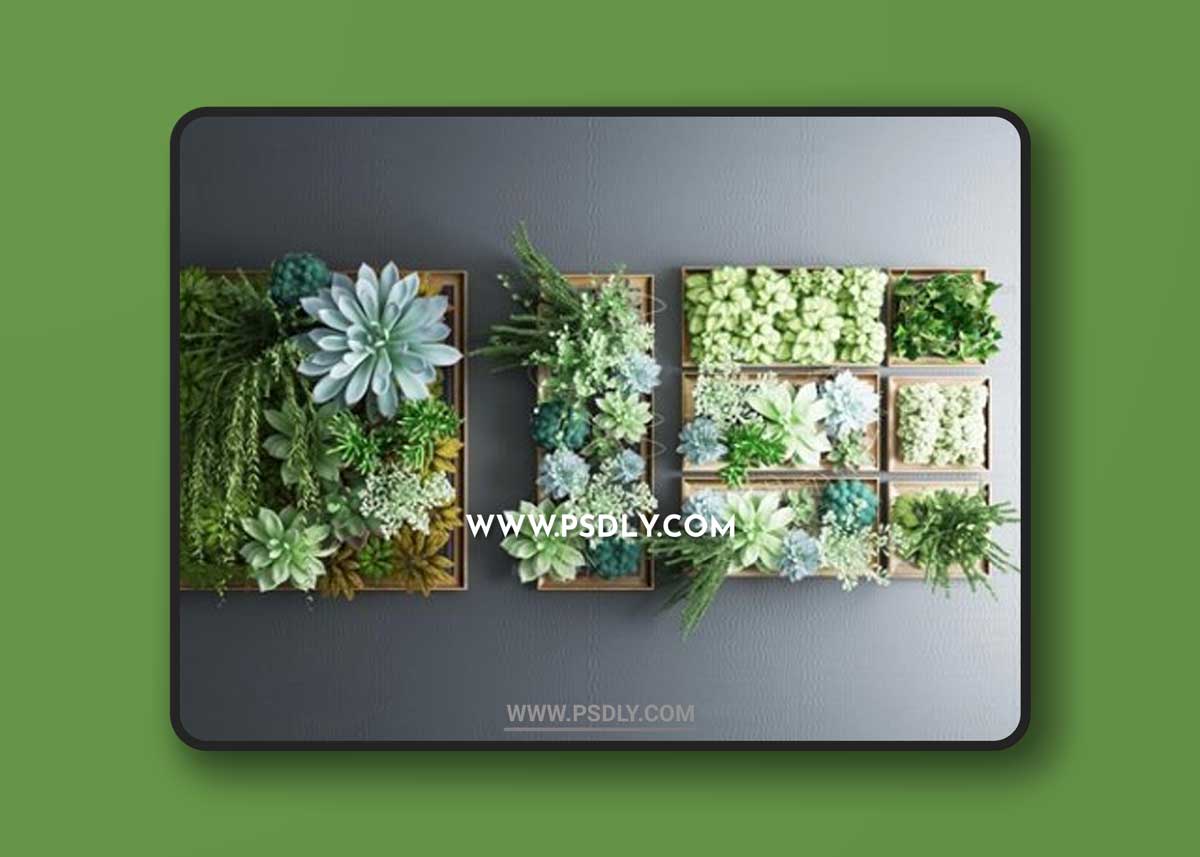 Wall Plant Decoration 3d model