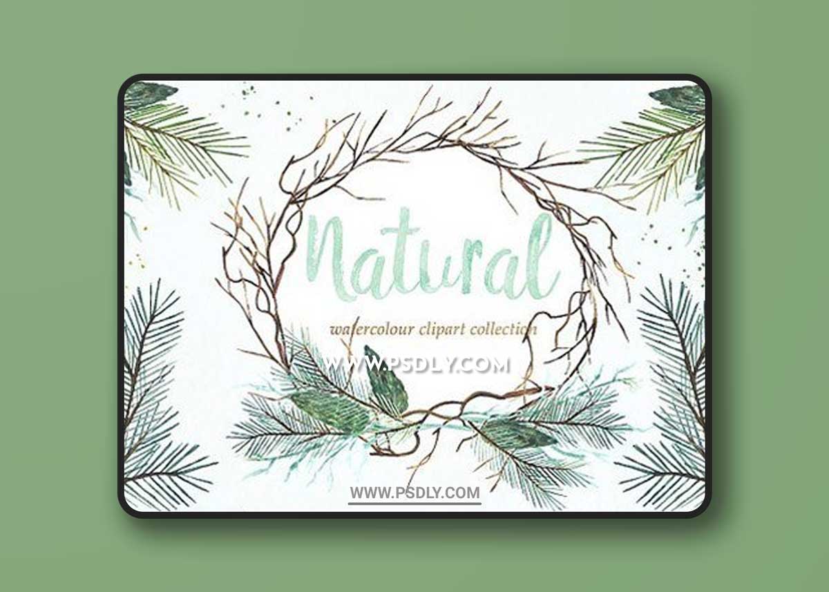 Watercolor clipart. Natural winter