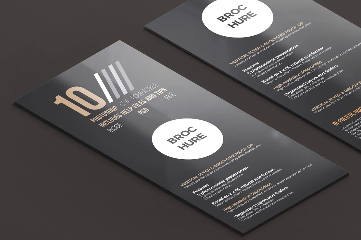 CreativeMarket - 2x DL Flyer & Brochure Mock-Up 1 2798687