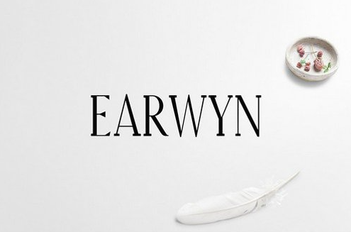 Earwyn Serif 3 Font Family Pack