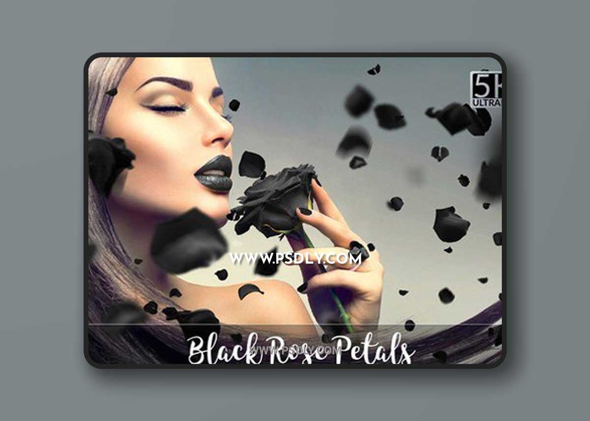 5K Black Rose Petals Overlays