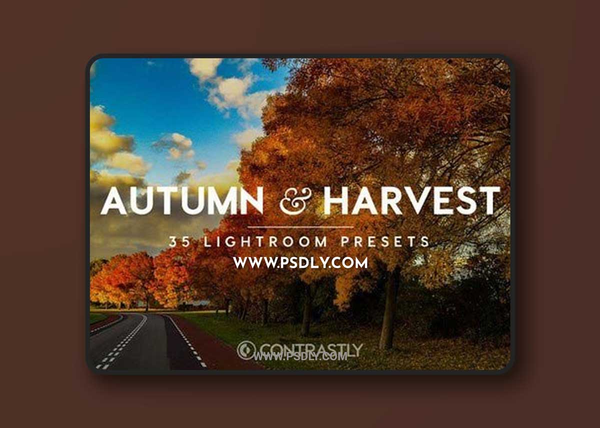 Autumn & Harvest Lightroom Presets 365877