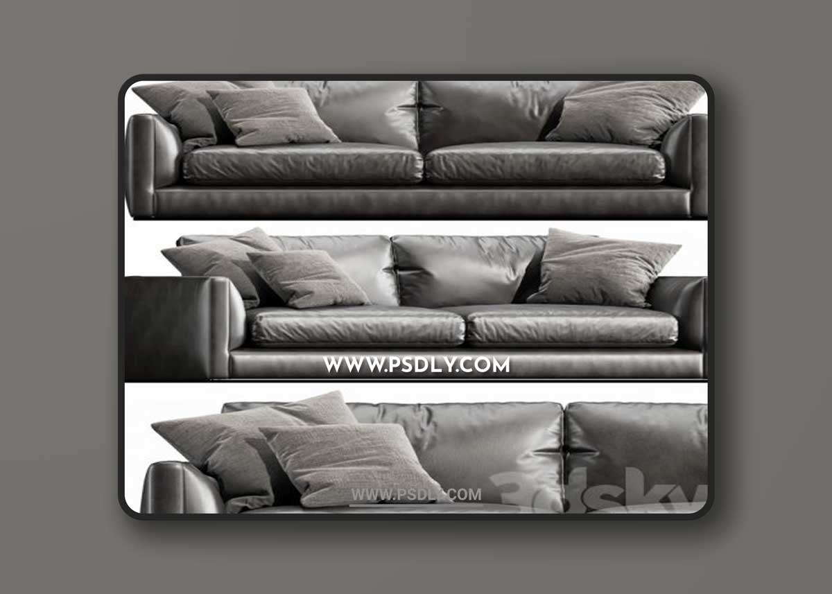 B&B Italia Richard Sofa 3D Model