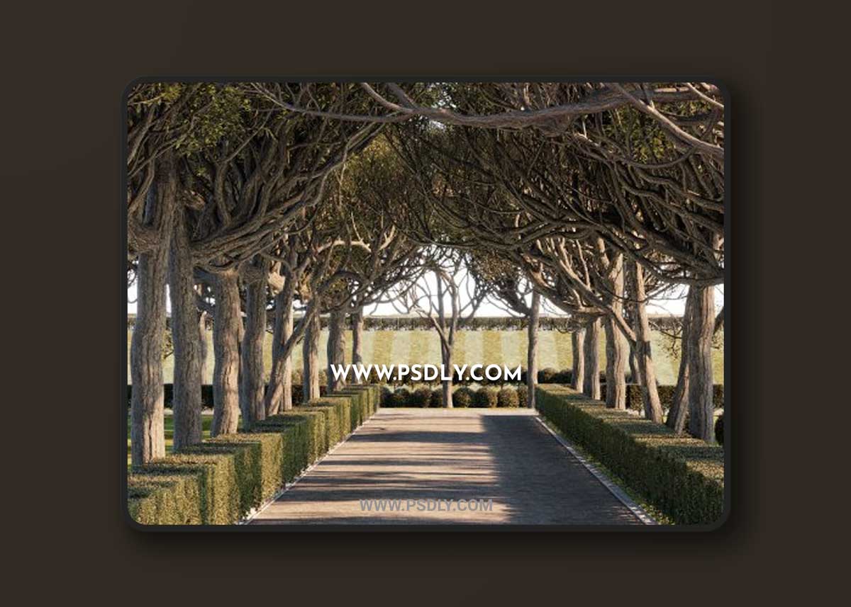 Cghelios - HeliosVegetation vol.8 3D Models