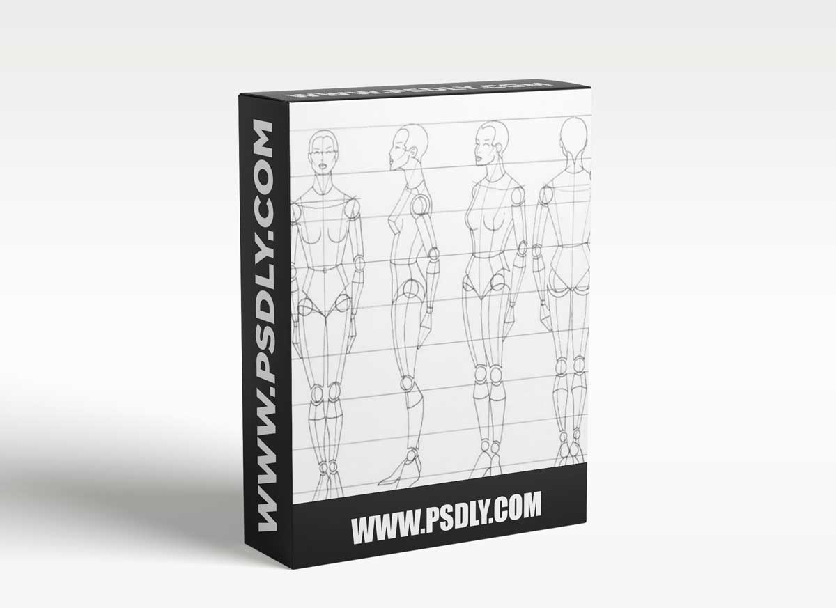 Coloso - Introduction to human body figure drawing