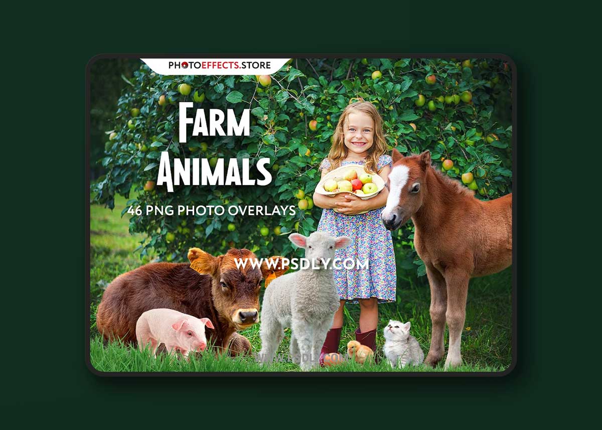 CreativeMarket - 46 Farm Animals Photo Overlays 6652852