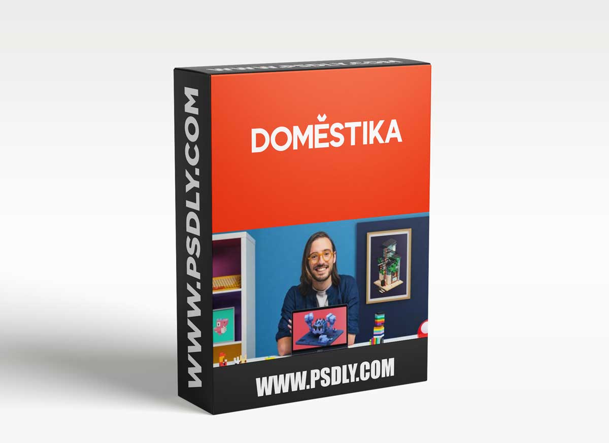 Domestika - Introduction to Voxel Art for Character Design