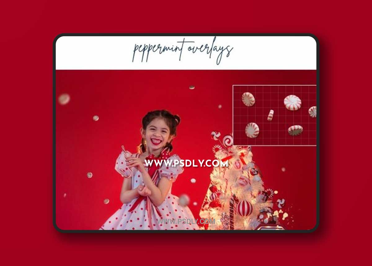 Finding North - Peppermint Overlays