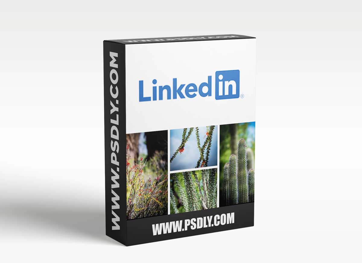 LinkedIn Learning - Batch Processing Photos to Save Time