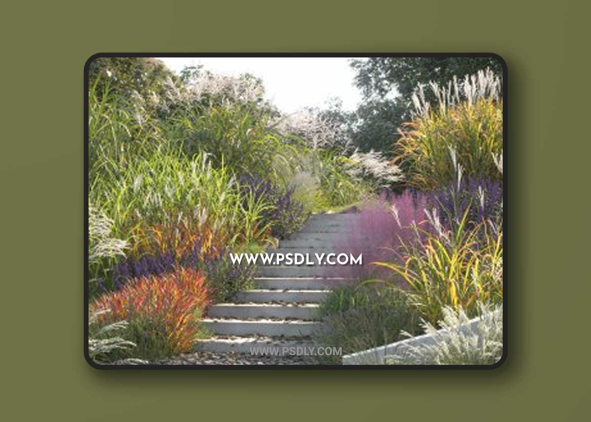 Maxtree - Plant Models Vol. 9 (2021)