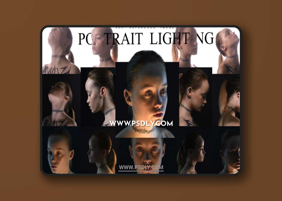 Artstation - Mels Mneyan - 400+ PORTRAIT LIGHTING DIGEST [facial Emotions Bonus]