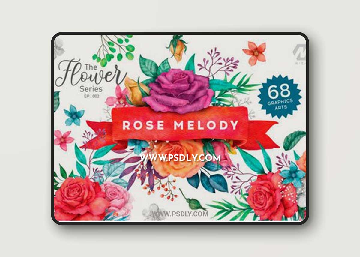 Rose Flower Watercolor Colorful Arts 18906508