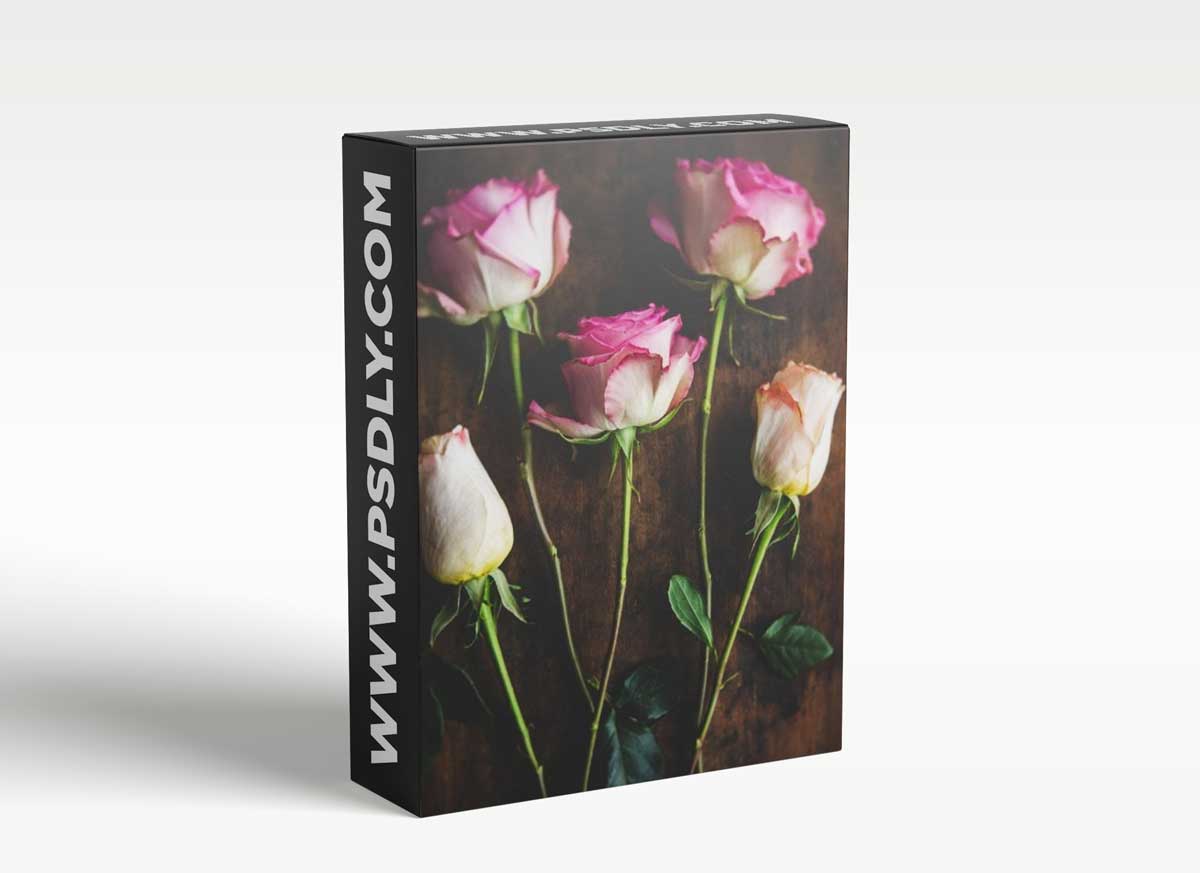 Still Life Photography: Creating A Beautiful Rose Flat lay Photo Using Natural Light