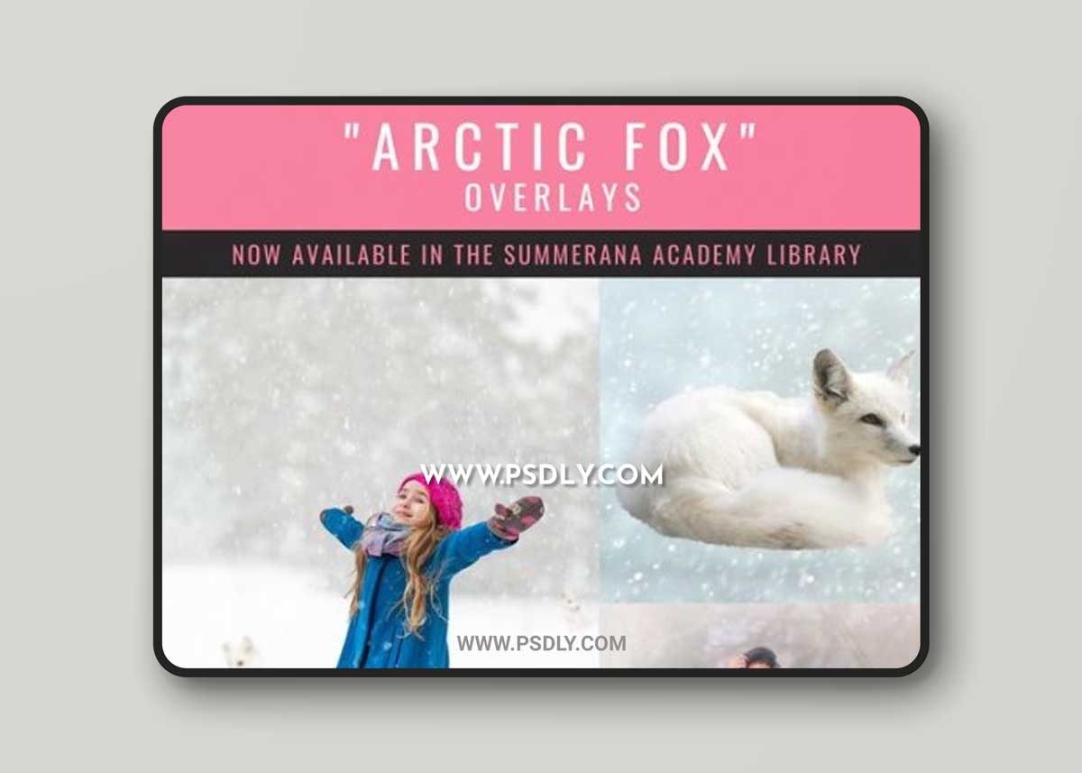 Summerana - Arctic Fox Overlays
