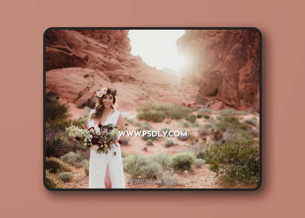 Twig & Olive Photography - Lightroom and ACR Presets | Harvest Matte