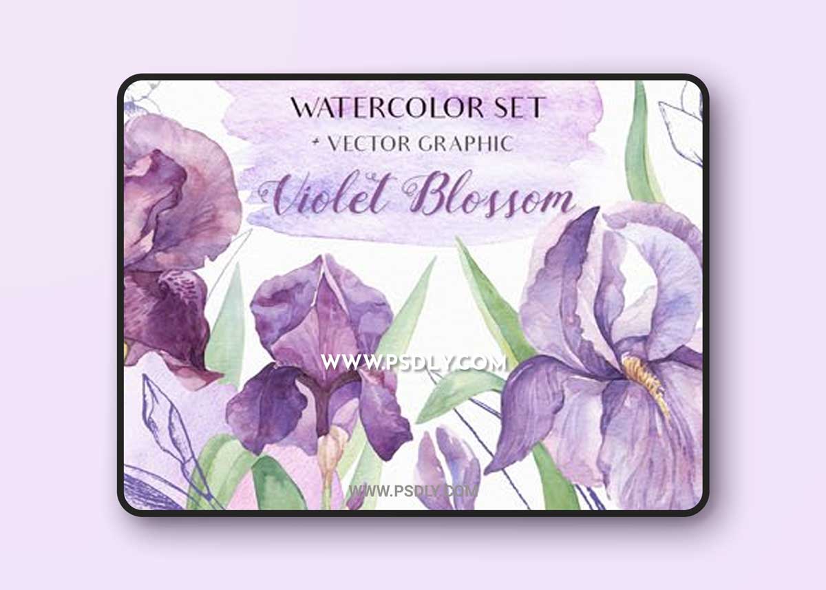 Violet Blossom - Watercolor Vector Graphic Set